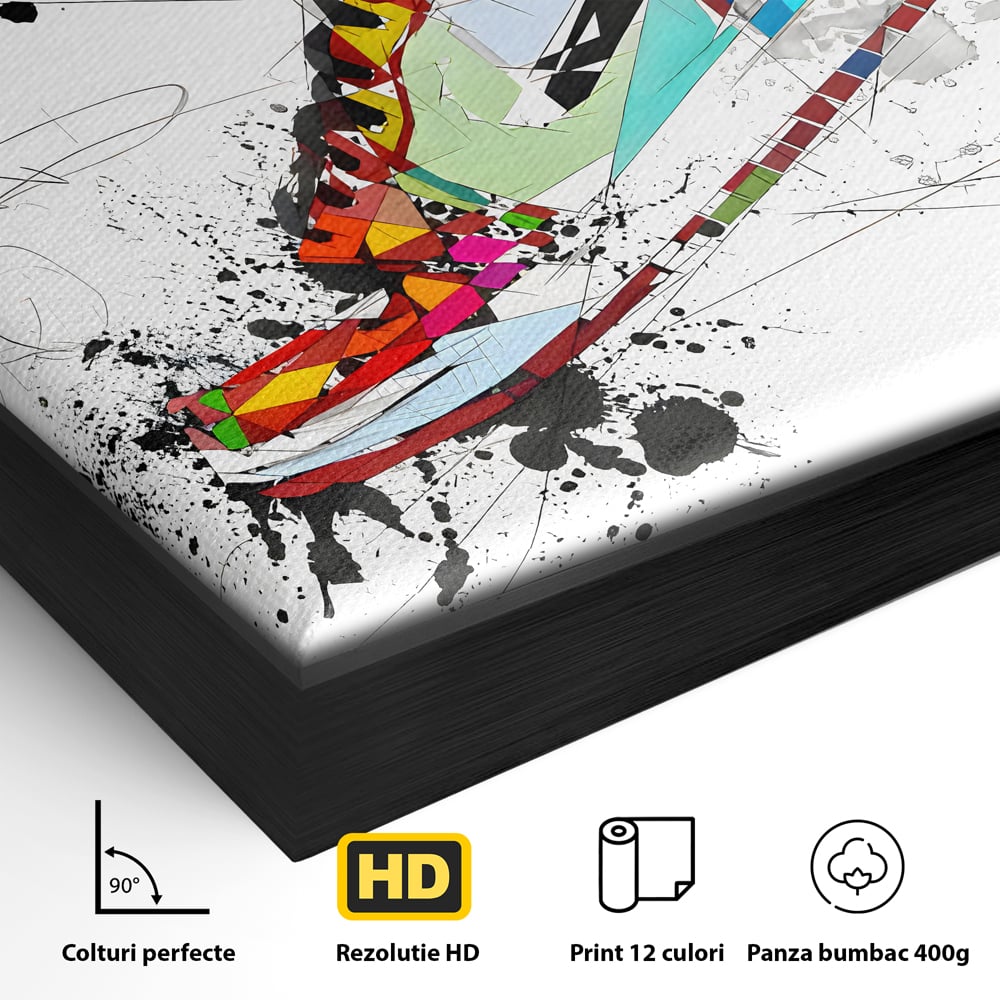 Detaliu al suprafetei: tablou canvas cu adidasa geometric colorat, in rama de aluminiu negru